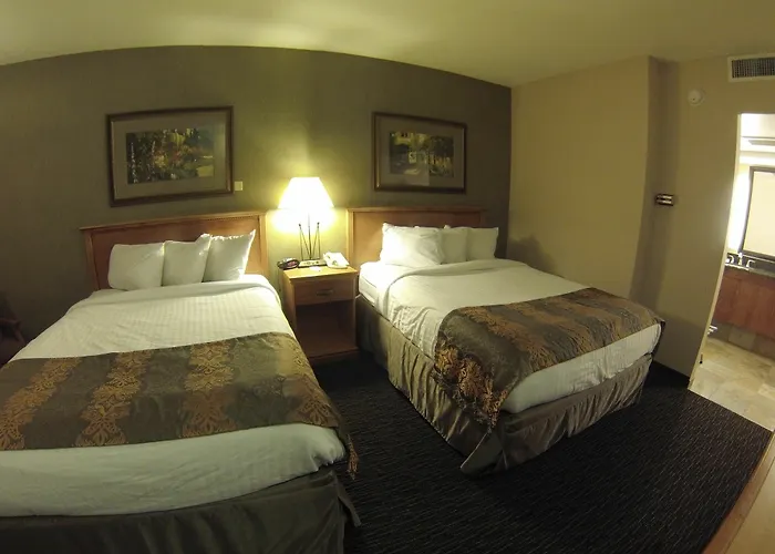 The Biltmore & Main Avenue 2*